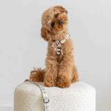 Arnés PET Reciclado Diseño Juno