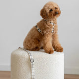 Arnés PET Reciclado Diseño Juno