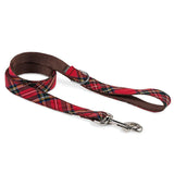 Correa Textura Tremp