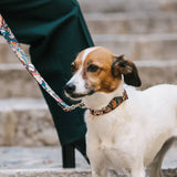 Collar Textura Malda