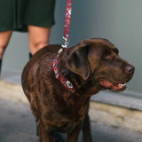 Figols Texture Collar