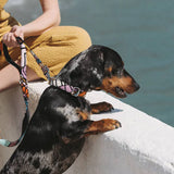 Collar Textura Guell