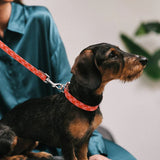 Collar Textura Miralles