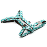 Pedrosa Texture Harness