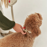 Collar Cuero Vegano Jala