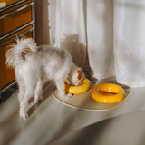 Comedero de cerámica