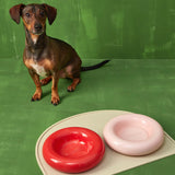 Comedero de cerámica