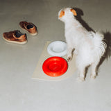 Comedero de cerámica