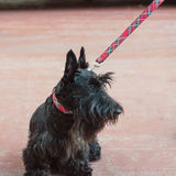 Collar Textura Tremp