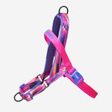 Harness Glitch Error #500