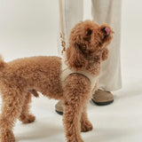 Vegan Leather Harness, Jala