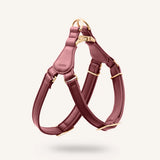 Arnés Cuero Vegano "Step In" Jala