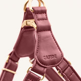 Arnés Cuero Vegano "Step In" Jala