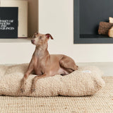 Cojín Cama Perro Bela