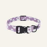 Recycled PET Collar Design, Juno