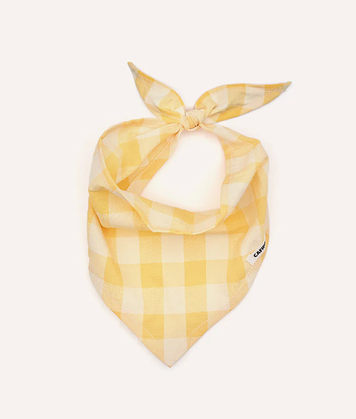 Bandana Perro Diseño