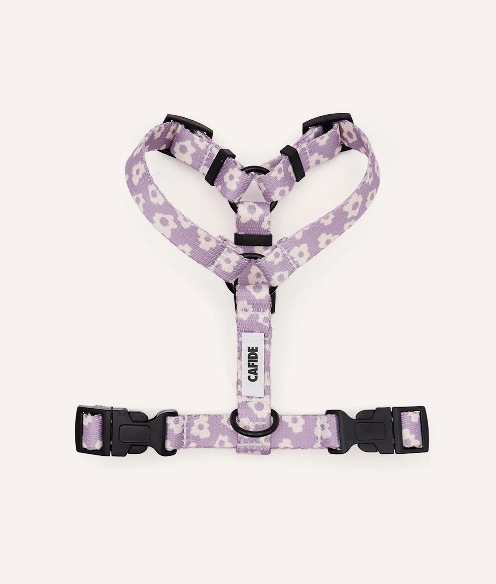 Arnés PET Reciclado Diseño Juno