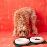 Alfombrilla para comedero