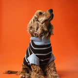 Suéter de perro a rayas