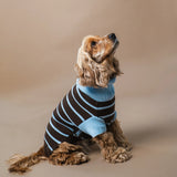Suéter de perro a rayas