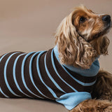 Suéter de perro a rayas