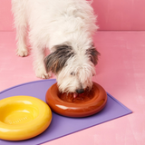 Comedero de cerámica