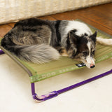 Cama para perros-Air.Bed