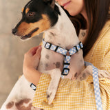 Arnés PET Reciclado Diseño Juno