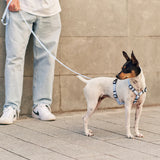 Arnés PET Reciclado Diseño Juno