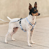 Correa 1,2m PET Reciclado Diseño, Juno