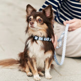 Recycled PET Collar Design, Juno