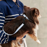 Recycled PET Collar Design, Juno