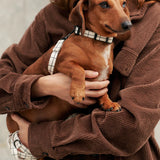 Recycled PET Collar Design, Juno