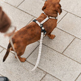 Arnés PET Reciclado Diseño Juno