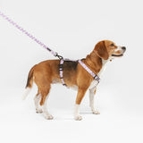 Arnés PET Reciclado Diseño Juno