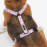 Arnés PET Reciclado Diseño Juno