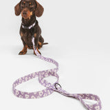 Correa 1,2m PET Reciclado Diseño, Juno