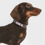 Recycled PET Collar Design, Juno