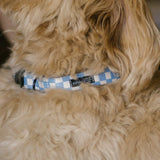 Recycled PET Collar Design, Juno