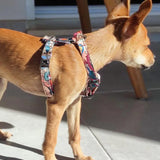 Evil Texture Harness