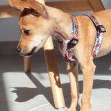 Evil Texture Harness