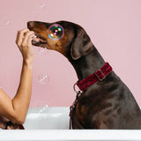 Biure Texture Collar